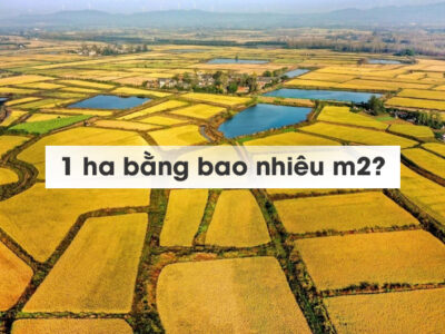 1ha bằng bao nhiêu m2, bao nhiêu km2, bao nhiêu sào, mẫu?
