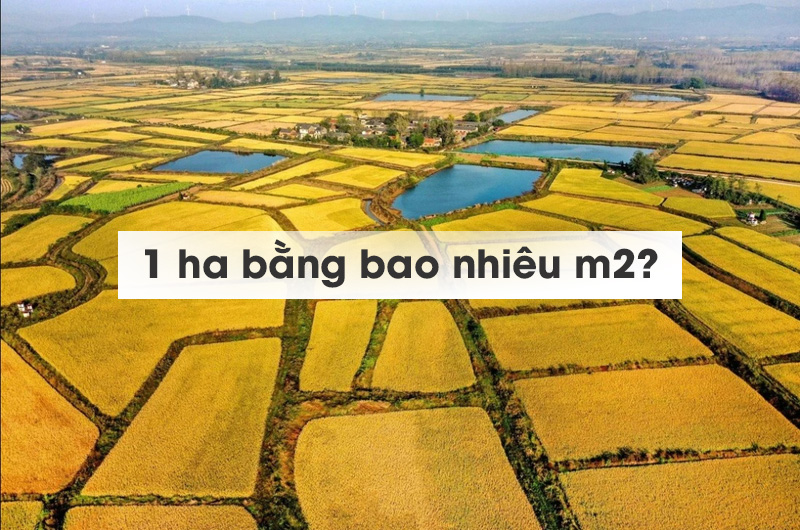 1-1ha-bang-bao-nhieu-m2 1-1ha-bang-bao-nhieu-m2