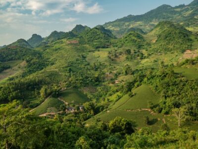 Top 10 Tỉnh Thành Nghèo Nhất Việt Nam Hiện Nay