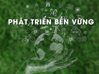 Phát triển bền vững là gì? Mục tiêu, nguyên tắc và giải pháp