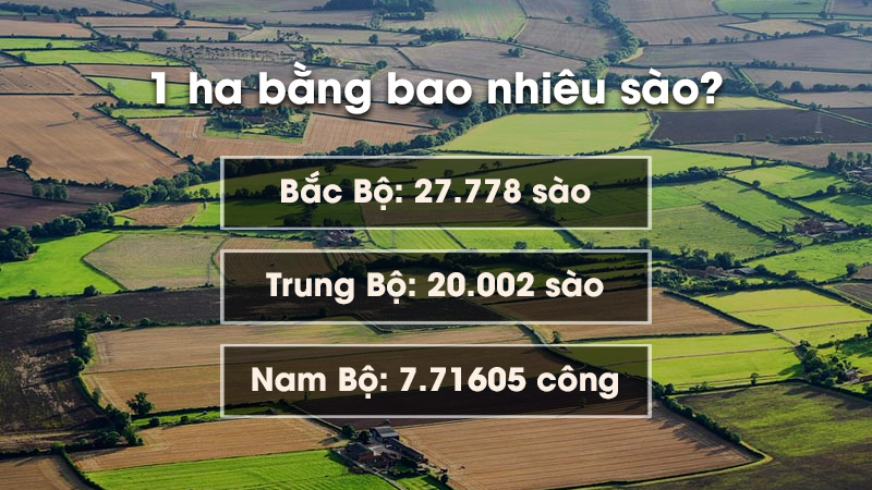 6-1ha-bang-bao-nhieu-sao 6-1ha-bang-bao-nhieu-sao
