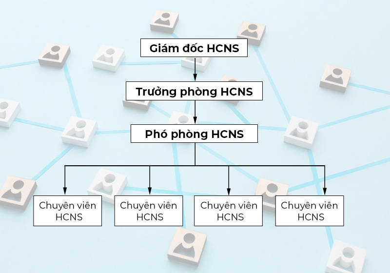 8-co-cau-to-chuc-phong-hanh-chinh-nhan-su