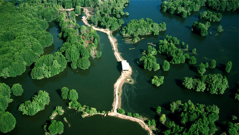 8-khu-du-lich-vam-sat