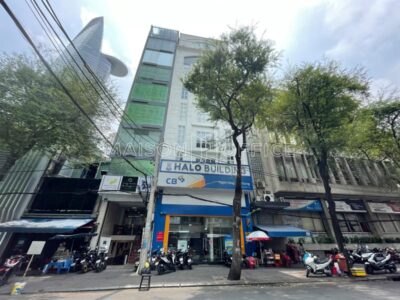Halo Tôn Thất Đạm