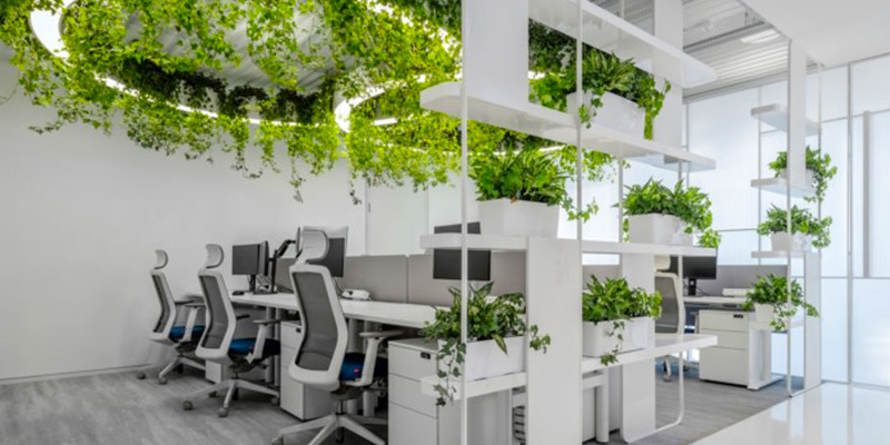 van-phong-eco-1