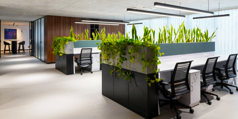 van-phong-eco-2